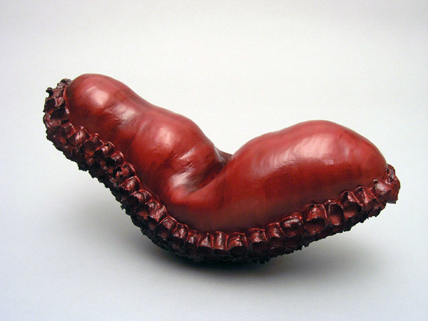 Topography I Flesh, Porcelain & Stains, 6" x 7" x 16", 2012